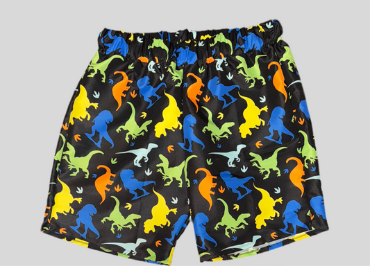 Adult swim Trunks